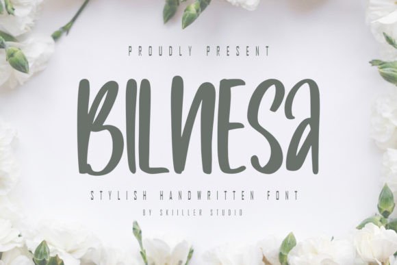 Bilnesa: A Bold Display Font for Modern Design